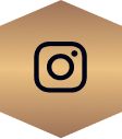 Instagram Icon