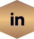 Linkedin Icon